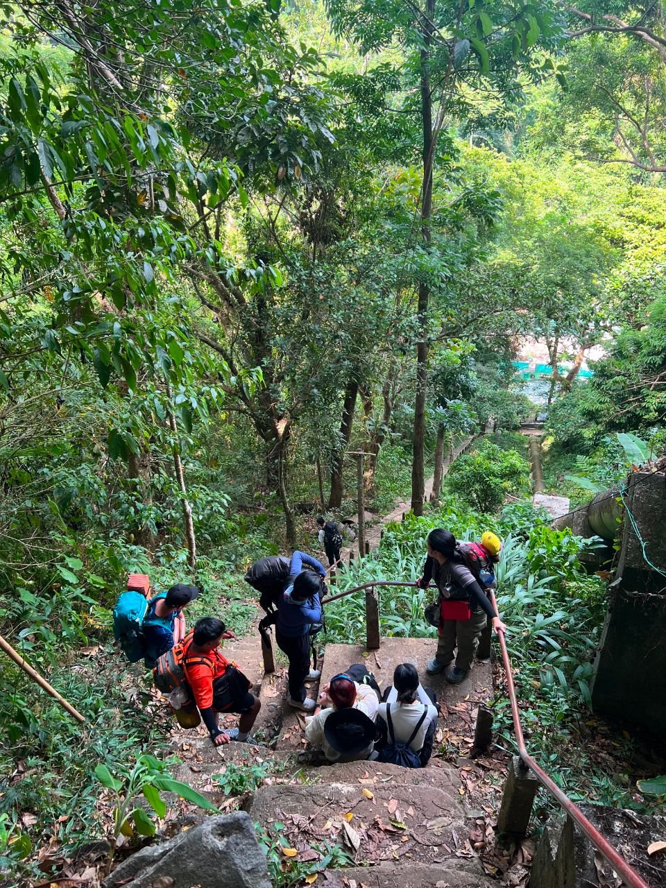 Hiking group resting on steps along the forest trail